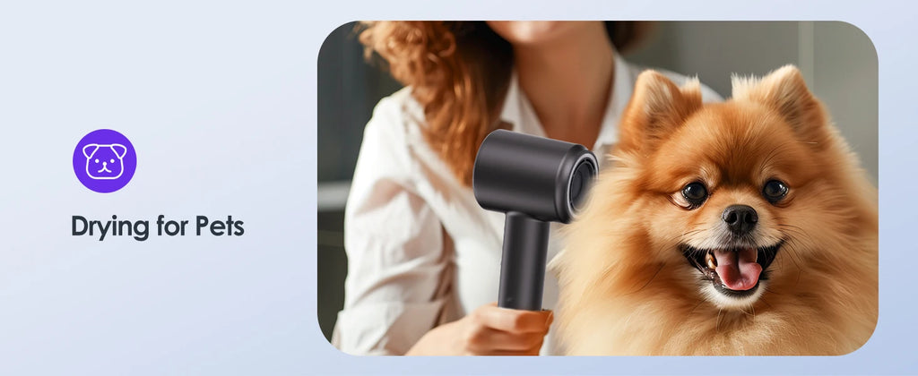 BOPCAL Electric Hair Dryer 120000RPM Brushless Negative Ions Blow Dryer 1500W Super Powerful Wind Lownoise Profession Salon HairDryer